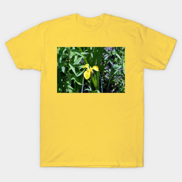 Iris T-Shirt by Drgnfly4free